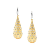 Zara Gilded Golden Thorn Dangler Earrings