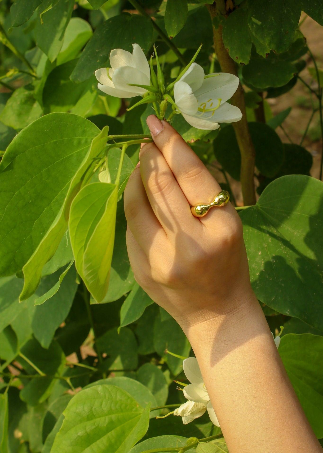 Holly Gold Ring - Zevar King